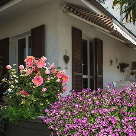 לינה וארוחת בוקר A Casa Di Sergio סאסו מרקוני